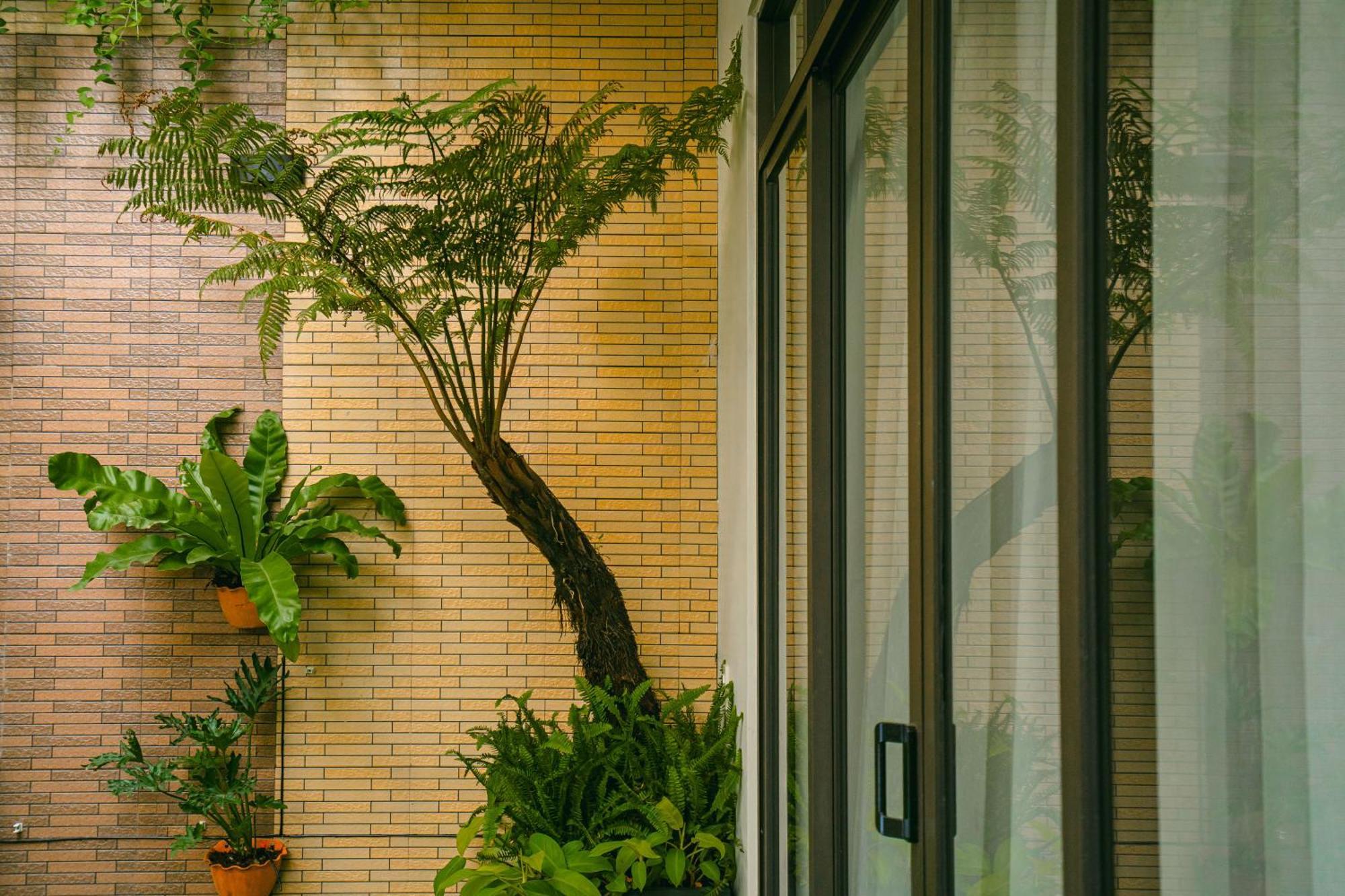 Beach Palm Villa Hội An Kültér fotó