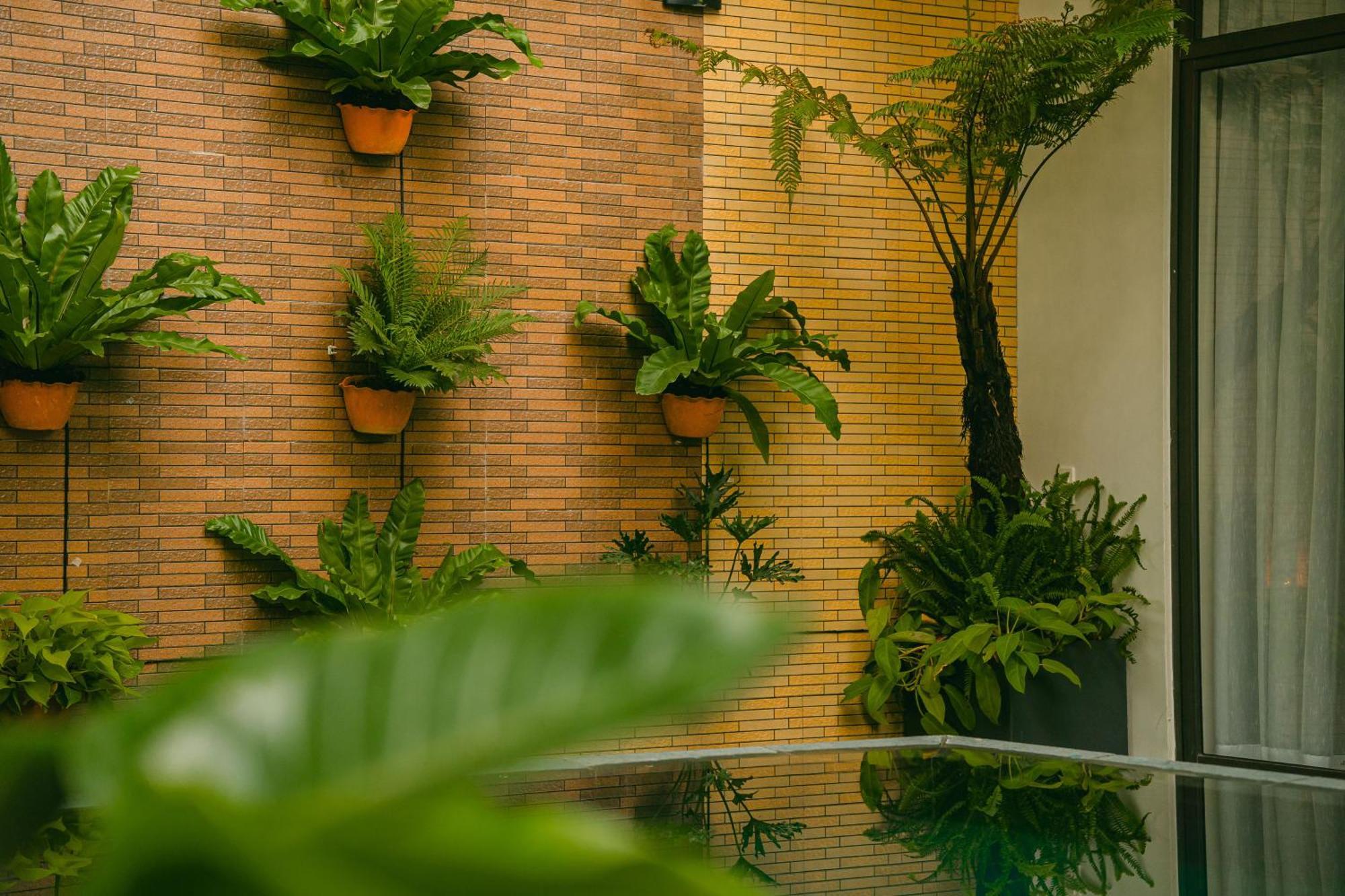 Beach Palm Villa Hội An Kültér fotó